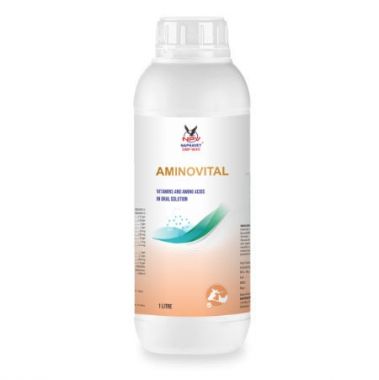 AMINOVITAL