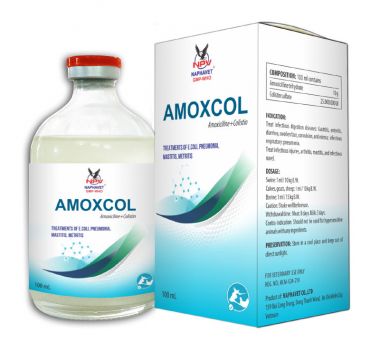AMOXCOL