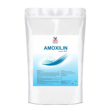 AMOXILIN