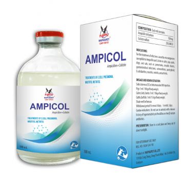 AMPICOL