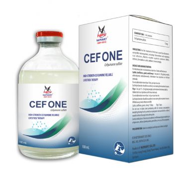 CEF-ONE