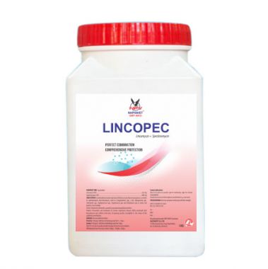 LINCOPEC