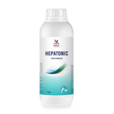 HEPATONIC