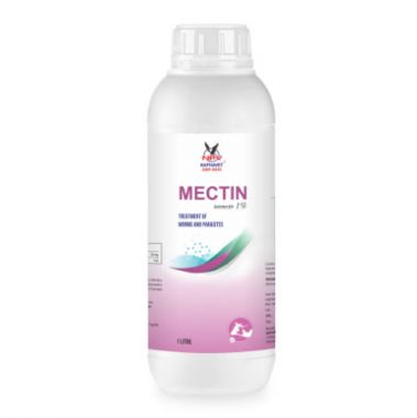 MECTIN