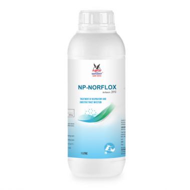 NP-NORFLOX 