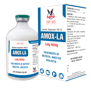 AMOX LA