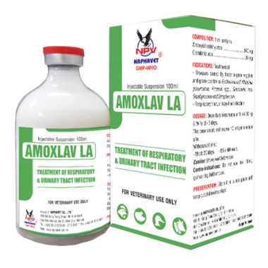 AMOXLAV LA