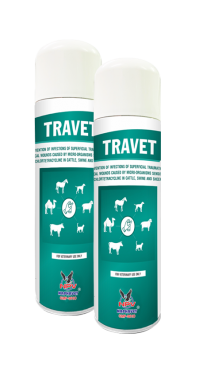TRAVET