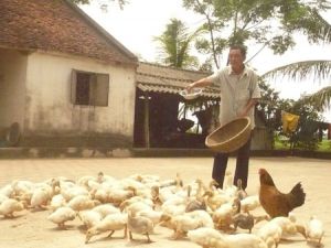 DÁM LÀM SẼ THÀNH CÔNG