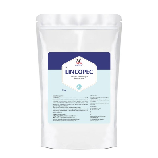LINCOPEC