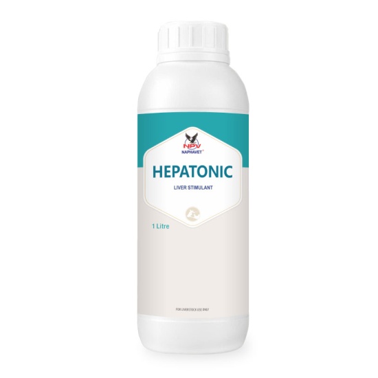 HEPATONIC