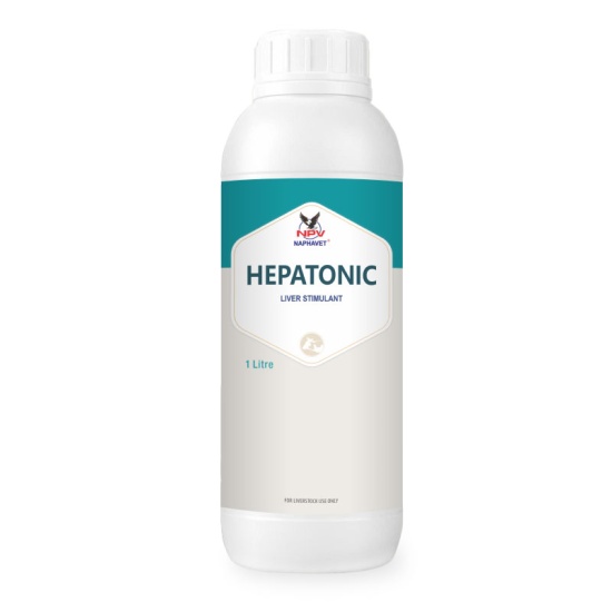 HEPATONIC