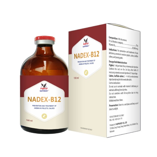 NADEX - B12